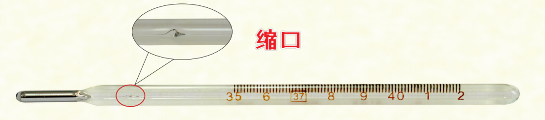 image-20250802175350371